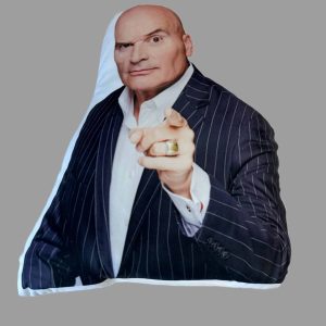 Tim Misny Pillow
